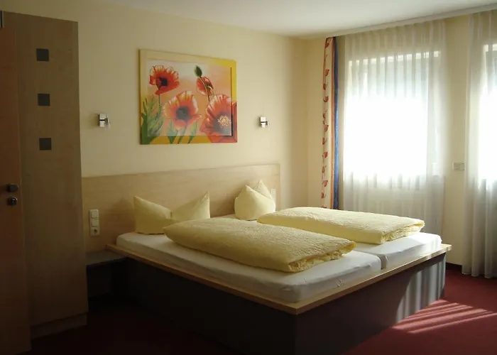 Papillon Lappersdorf (Regensburg)